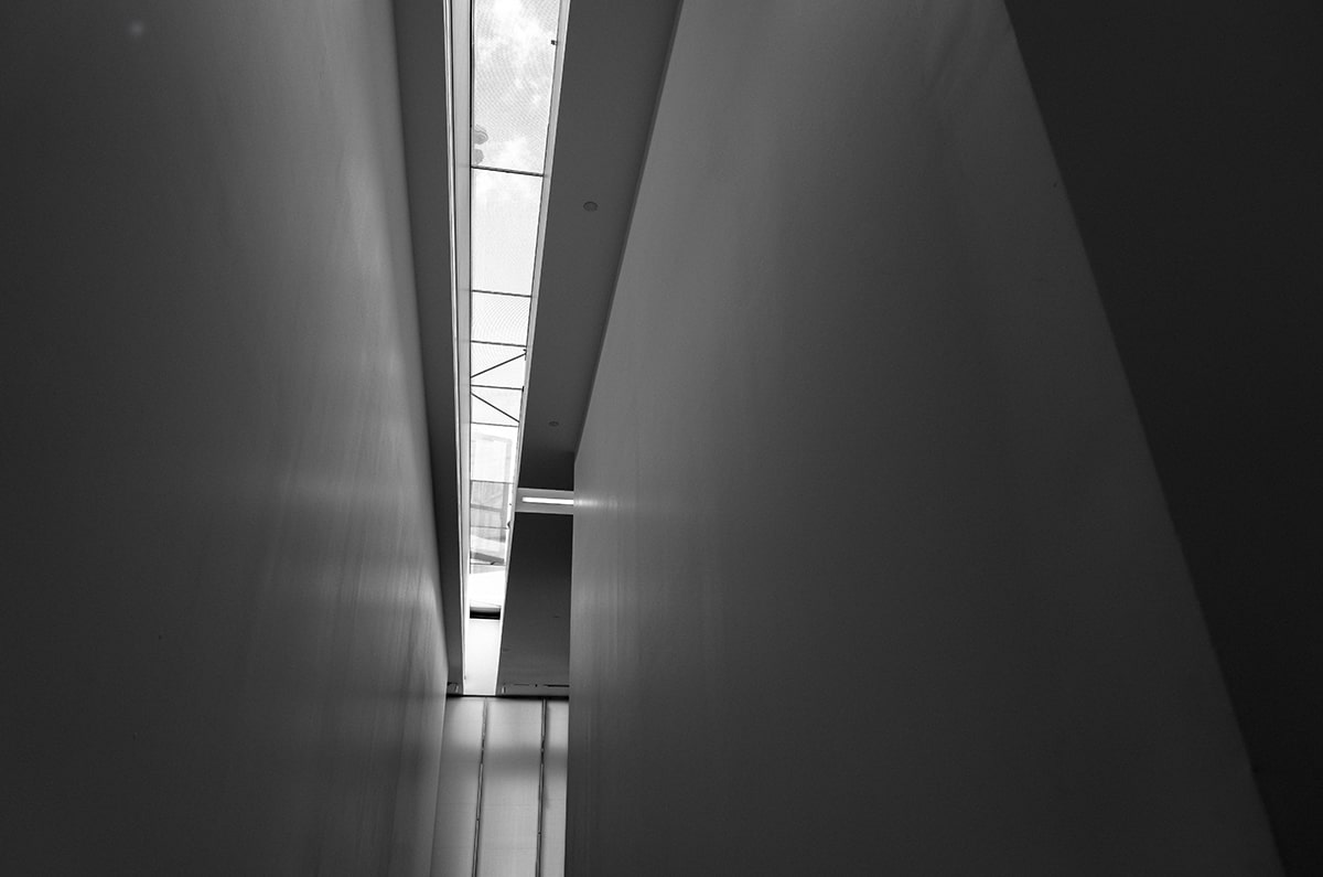 万世餐饮·天樾食府，抖音上的味蕾盛宴，独特的味觉之旅